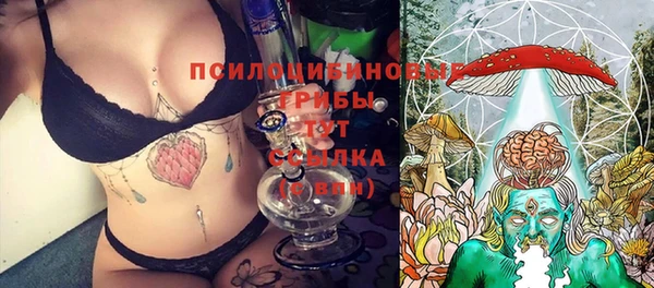 бошки Алексеевка