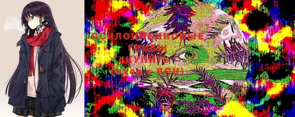 круглые Алзамай